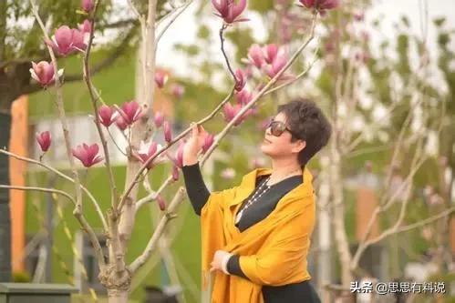 韩国大妈头发型图片,日本大妈发型变化