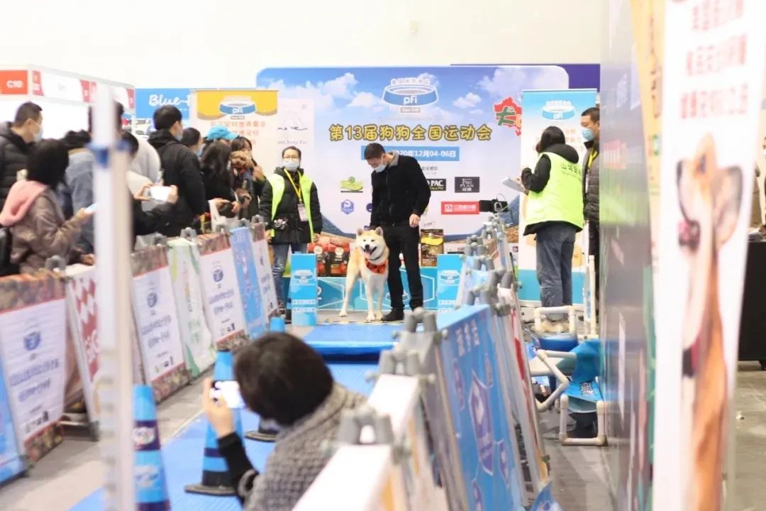 铲屎官实力,铲屎官挣钱不容易