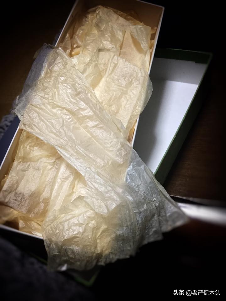 昆虫标本树脂竹节虫,昆虫标本制作竹节虫