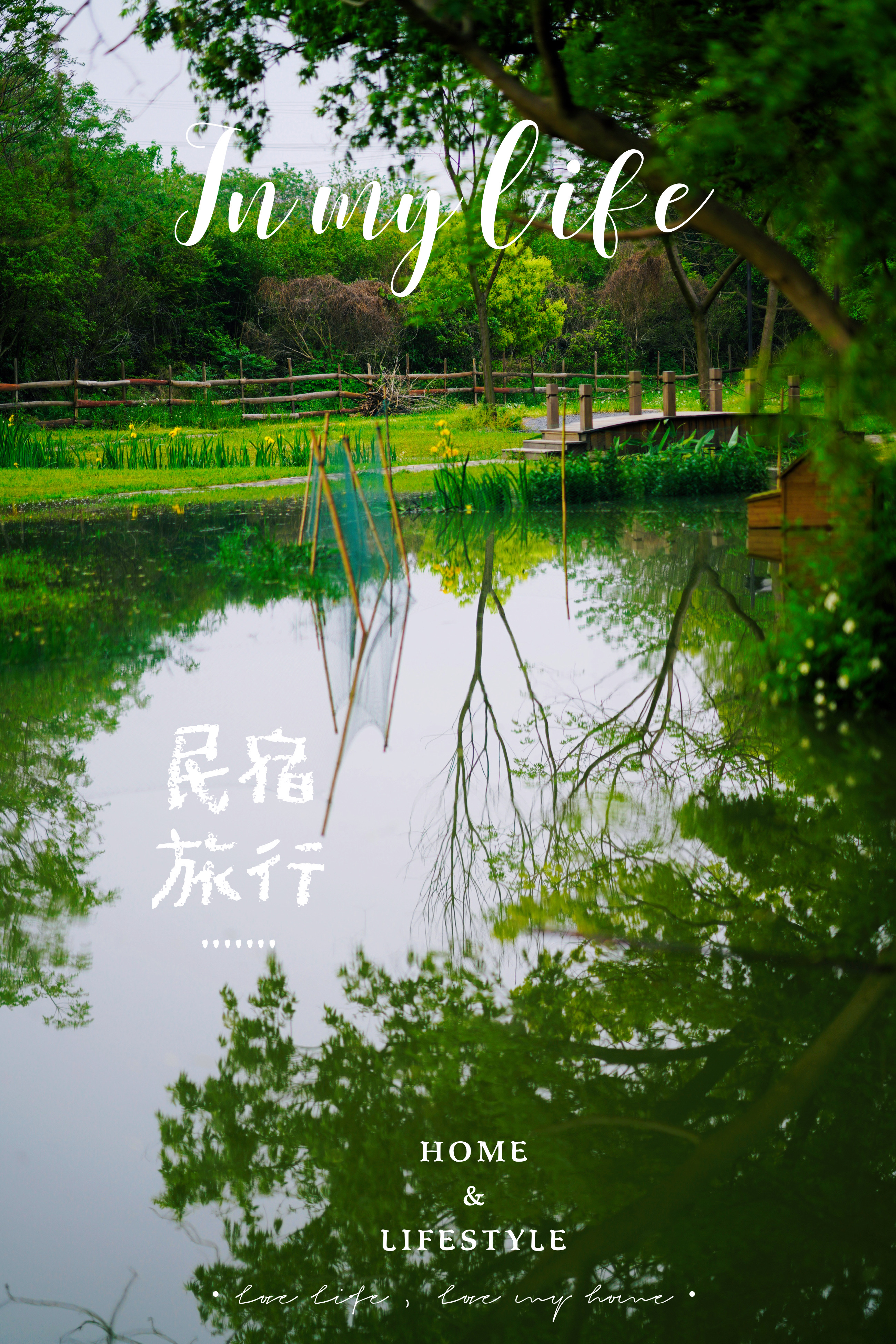 苏州特色民宿推荐,苏州最有特色民宿推荐