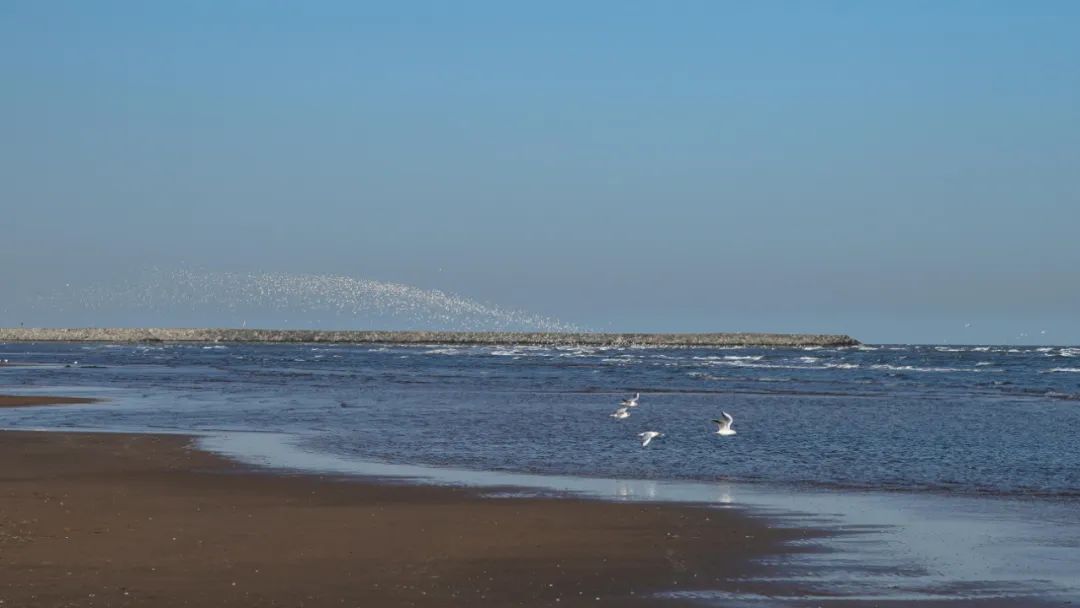 在北京中产是什么样子的,中产阶级对于中国经济发展的影响