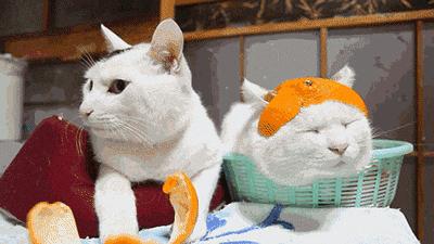 棒球帽的正确搭配方法,全封闭棒球帽搭配