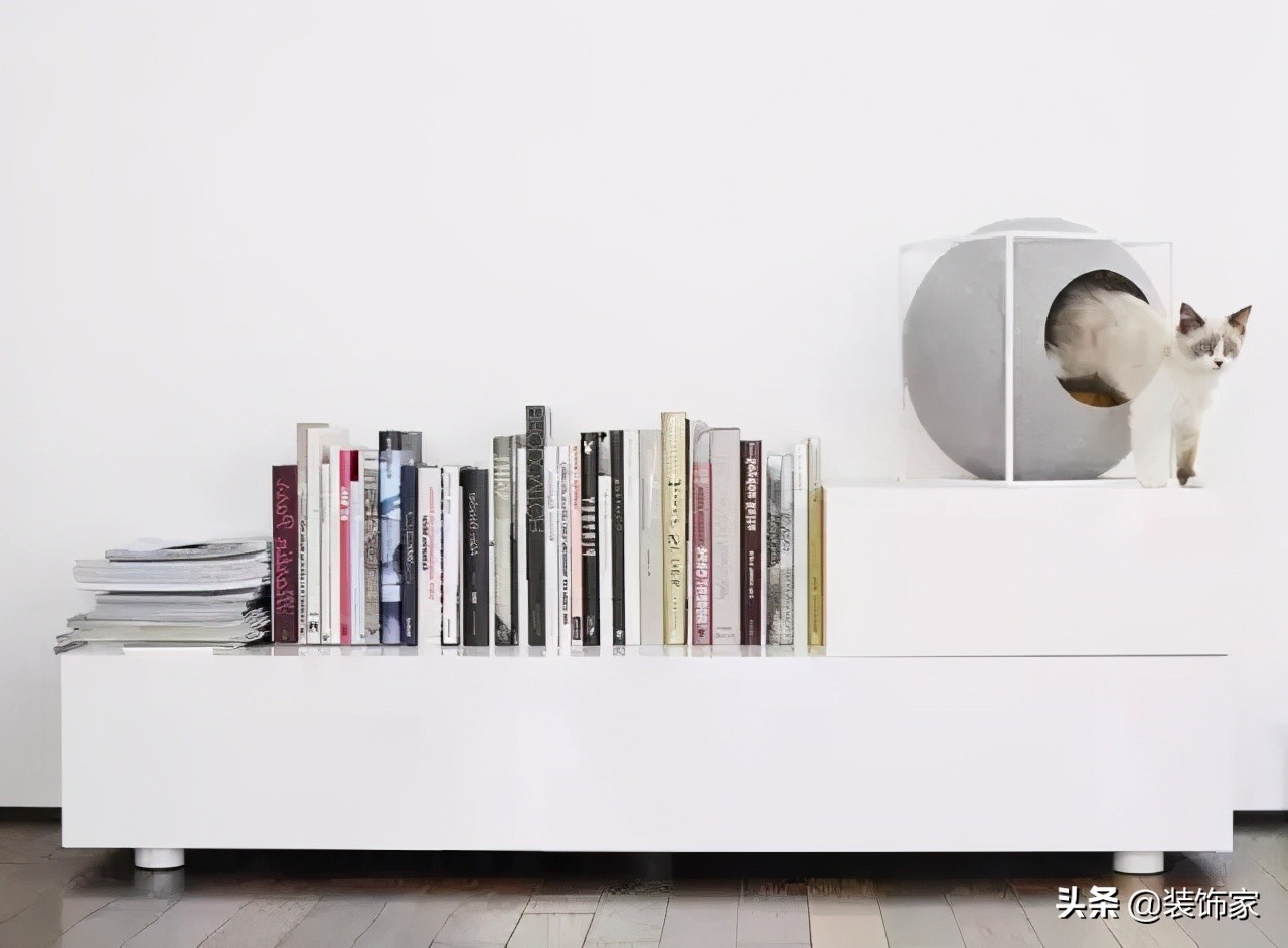 铲屎官最爱的客厅方案,铲屎官最满意的卧室装饰