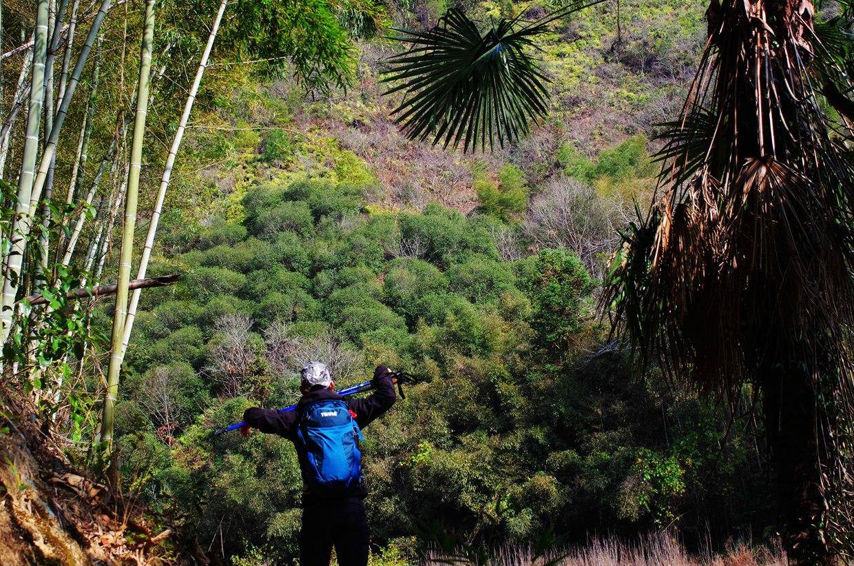 超大号户外收纳包,户外野营收纳包