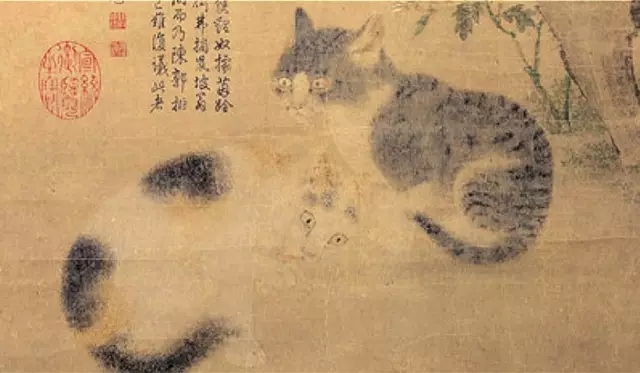 故宫十大御猫小崽儿,历史上真实的故宫御猫