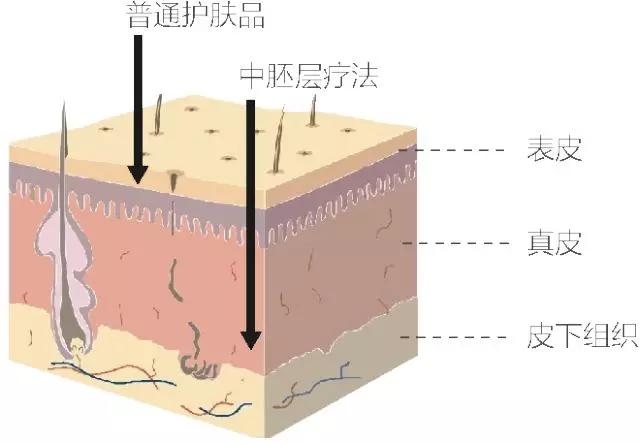 明星如何保持年轻抗衰老,明星童颜美容术好吗