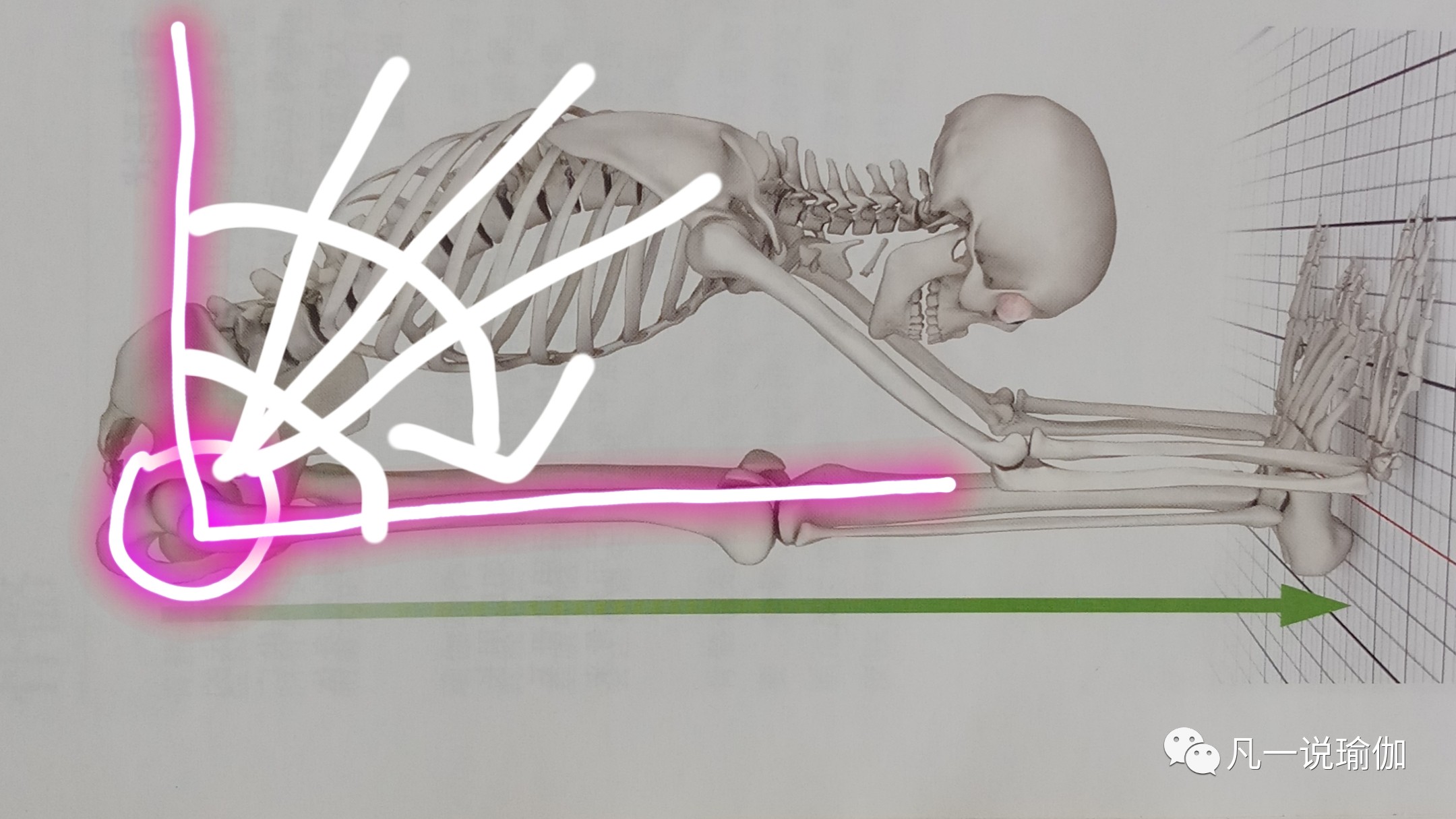 坐角式转动骨盆练习,瑜伽坐角式如何转髋