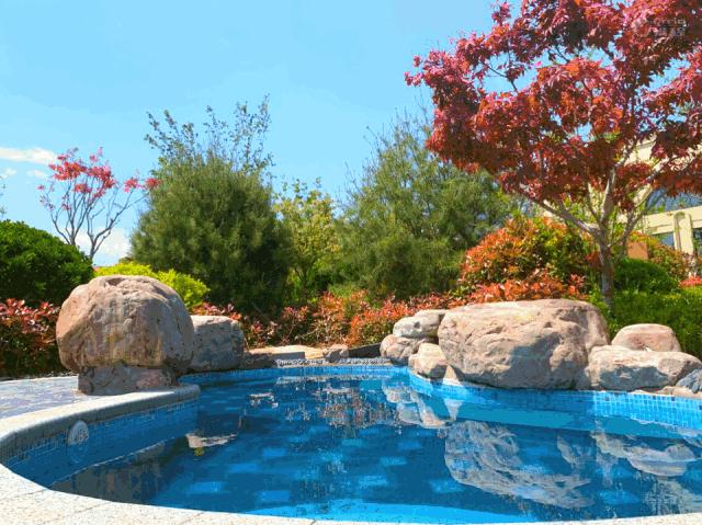 月正圆中秋,月正圆双节同庆