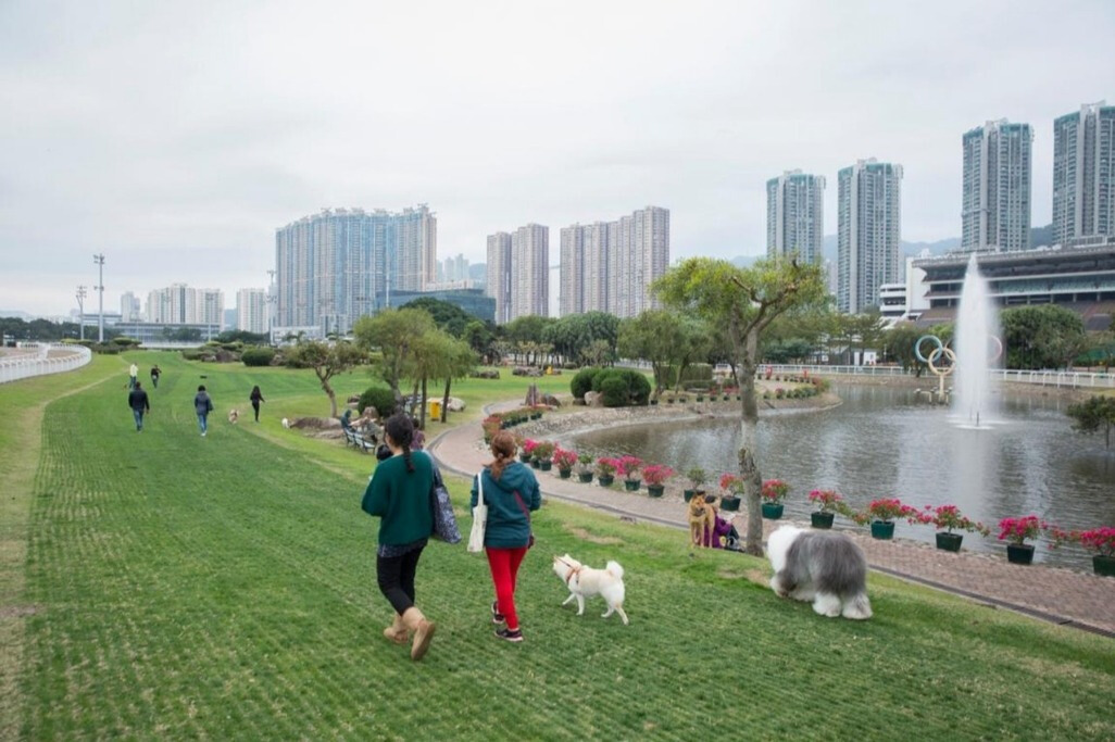 狗狗有牛蜱有什么方法能根除,如何预防蜱虫叮咬狗狗