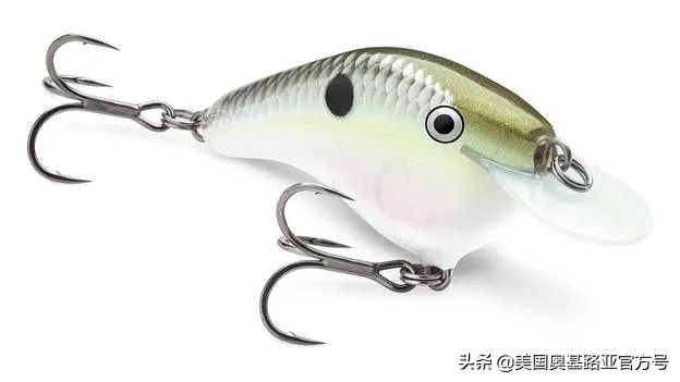 全国各地渔具展,全国渔具展2024