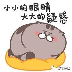 大姨妈和痔疮一起来了，小仙女怎么办？