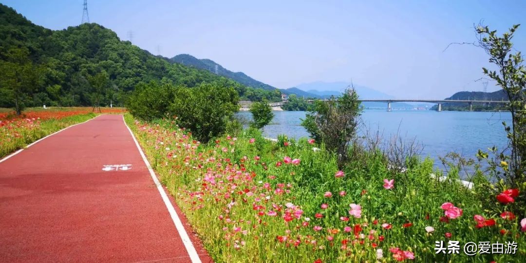 疫情后旅行新玩法,“州”游之衢州四天三夜