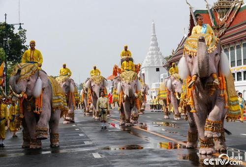 现代版风流国王-玛哈，豪车私人飞机不断，花钱如流水