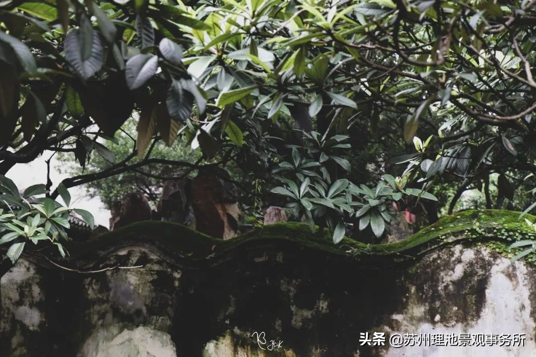 给我讲解一下拙政园的来历,拙政园最完整的讲解