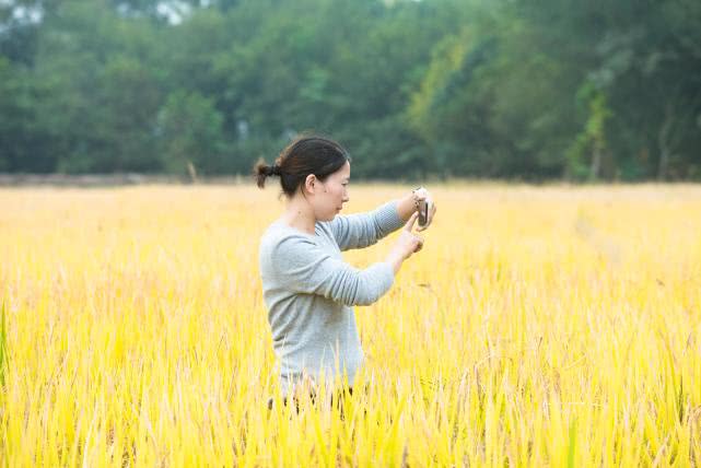 余干县小洲岛农村怎么样,余干世外桃源