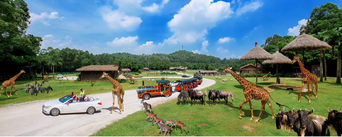 广州长隆野生动物园门票大熊猫,广州长隆野生动物园攻略熊猫