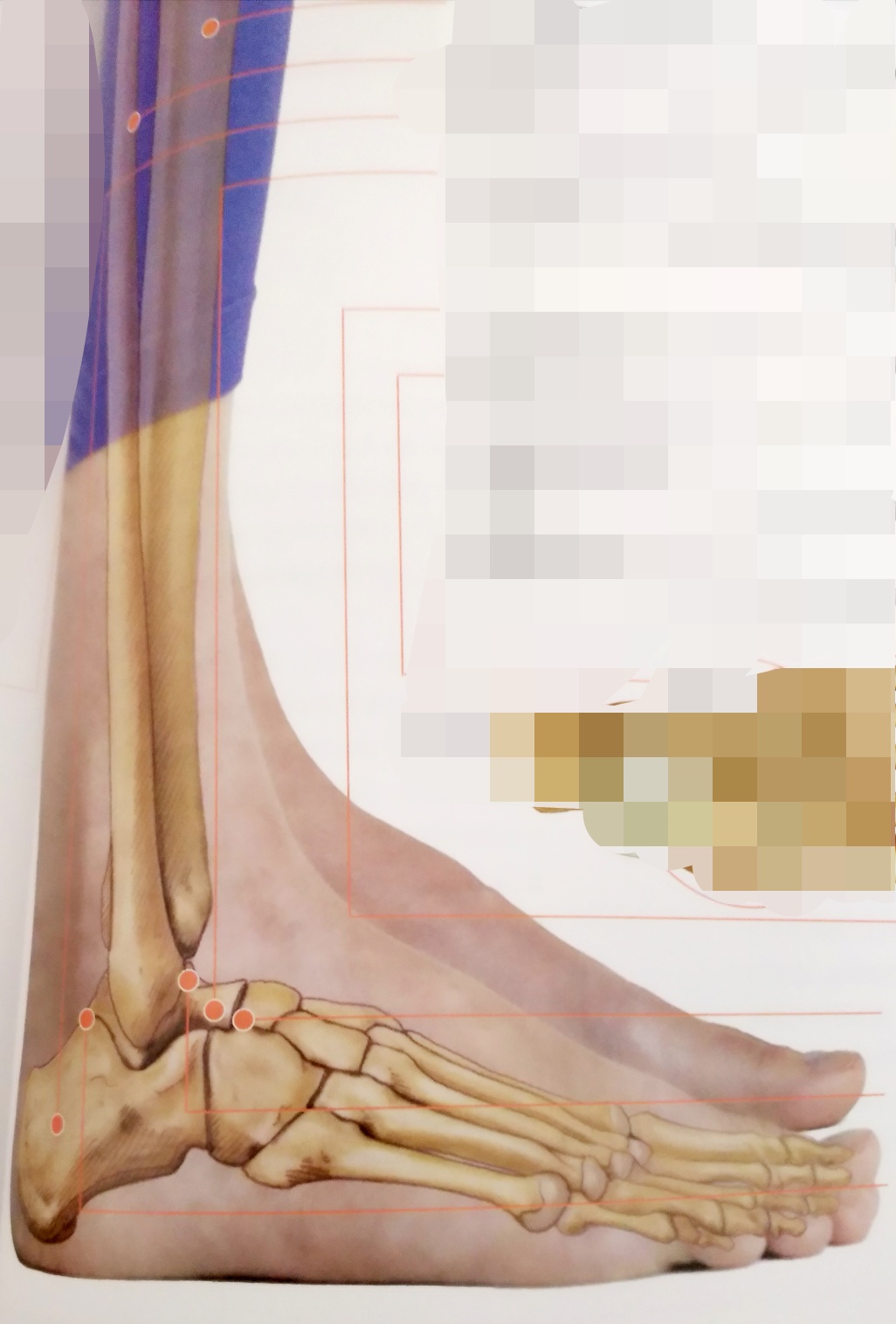 四个瑜伽动作促进新陈代谢,踝关节修复的瑜伽体式