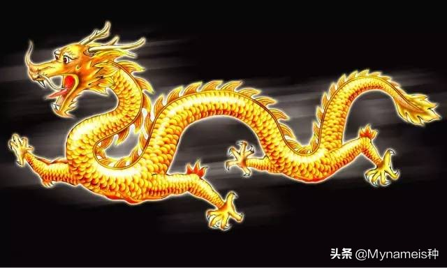 属相天命,十二属相的解析与分析