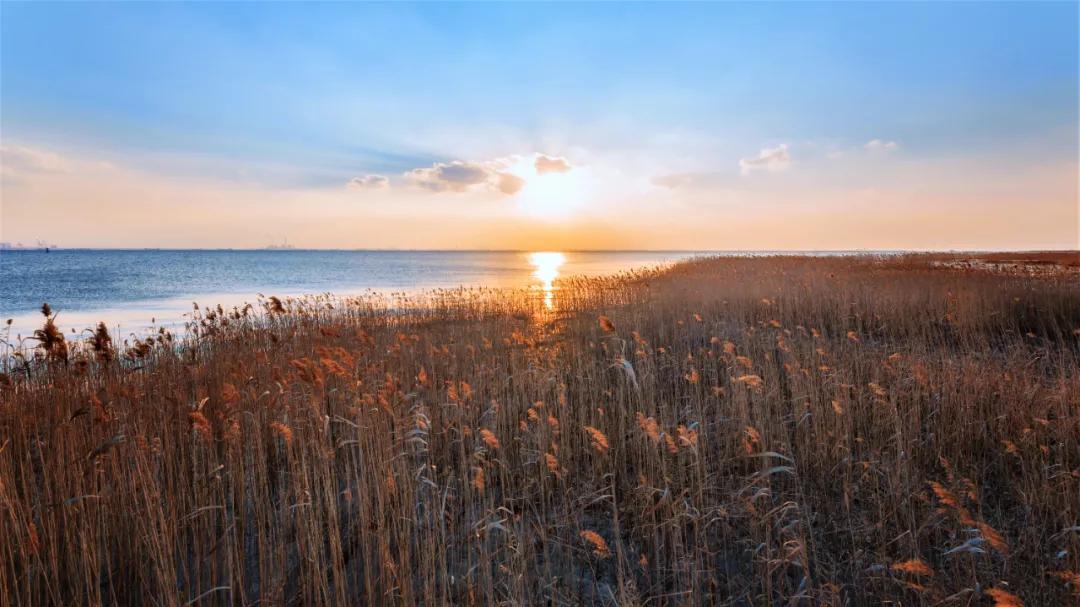 足不出沪的假期,足不出沪游上海