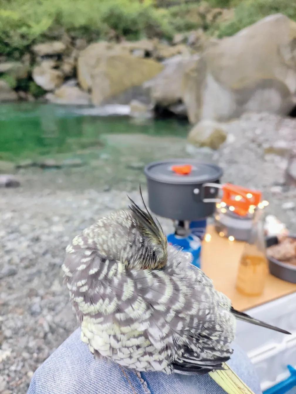 成都大丰周边哪有耍水好去处,成都周边耍水一日游崇州