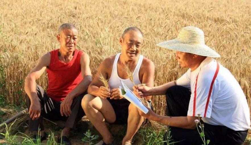 三伏里面有一九什么意思,三伏是什么寓意