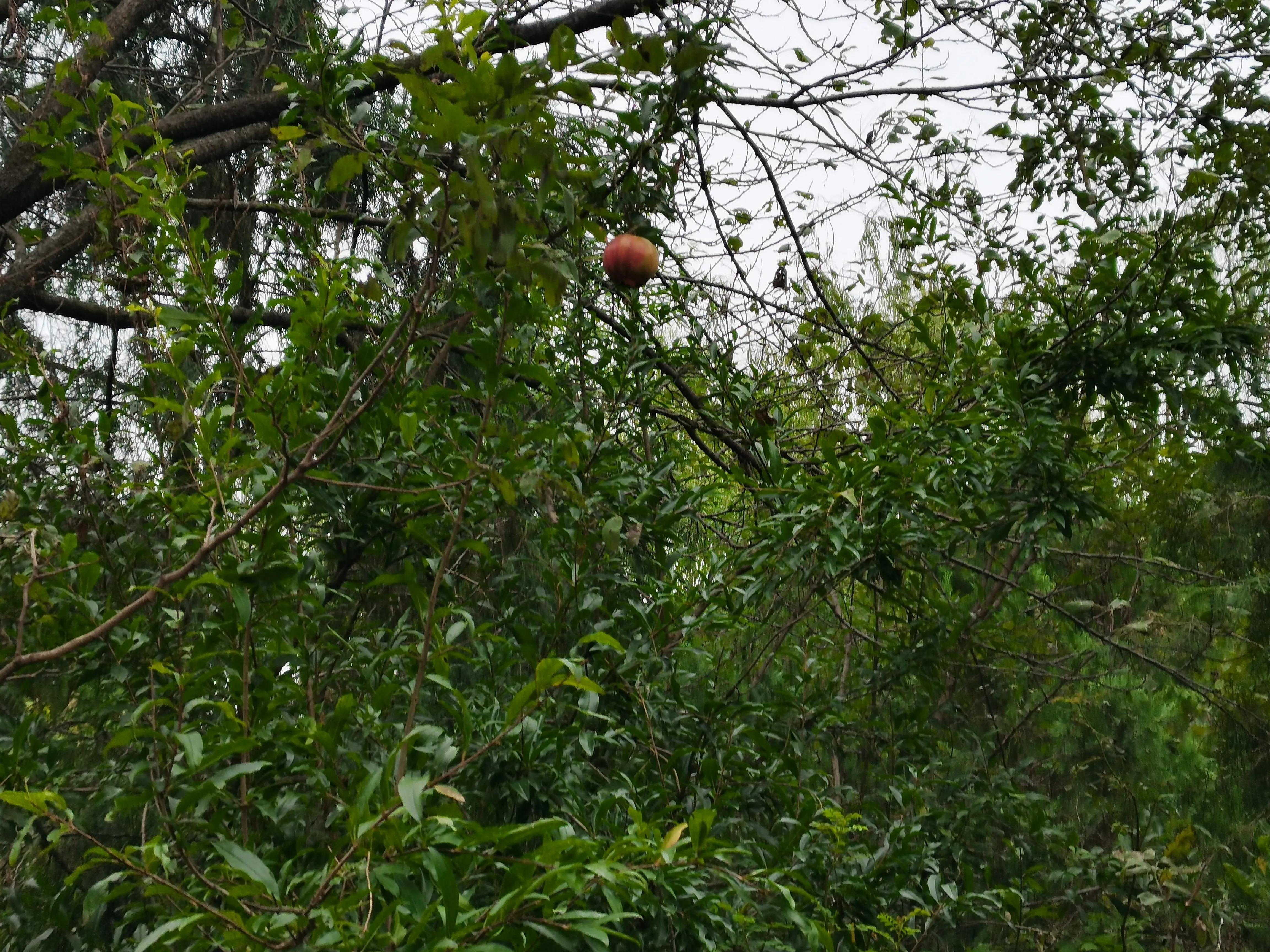 西安洪庆山自驾游路线图,西安洪庆附近旅游景点
