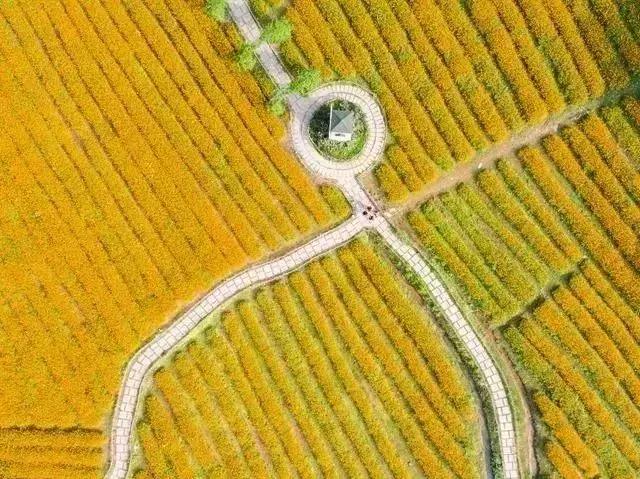 春节游玩攻略正式上线,春节嗨玩攻略