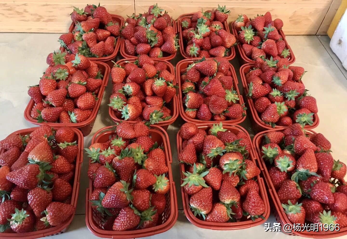 榛斾笢鍗楄嫍鏃忎緱鏃忚嚜娌诲窞鍑噷鑽夎帗 (鍑噷涓嬪徃鑽夎帗澶栭攢鎯呭喌)