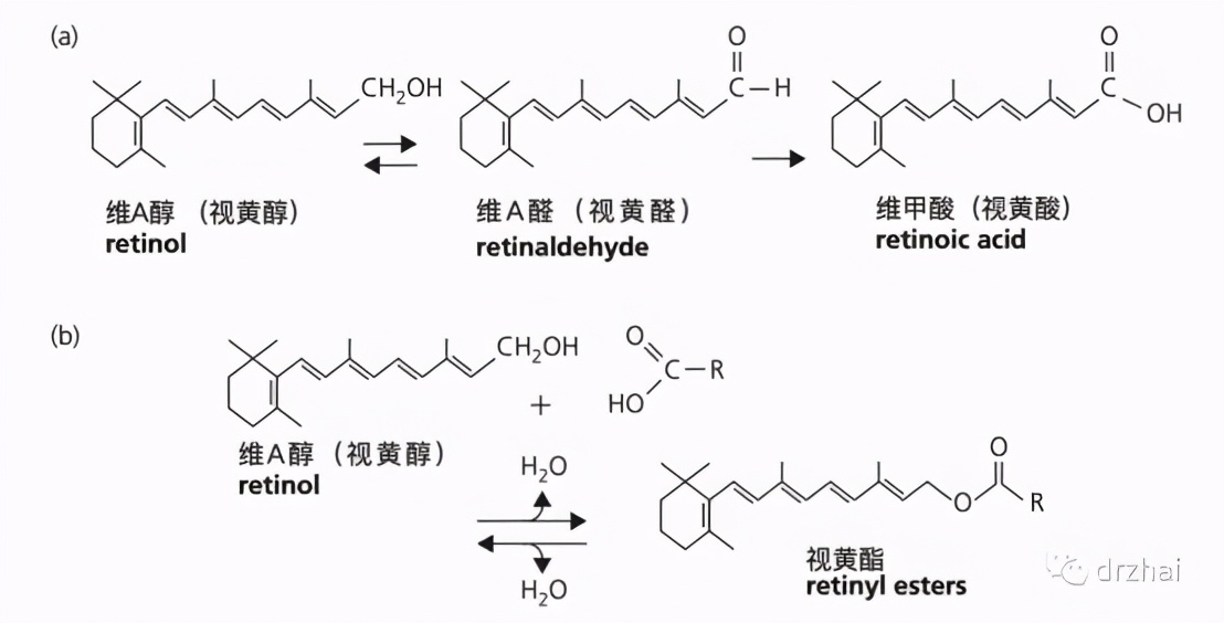 a醇到底好不好用,细说a醇
