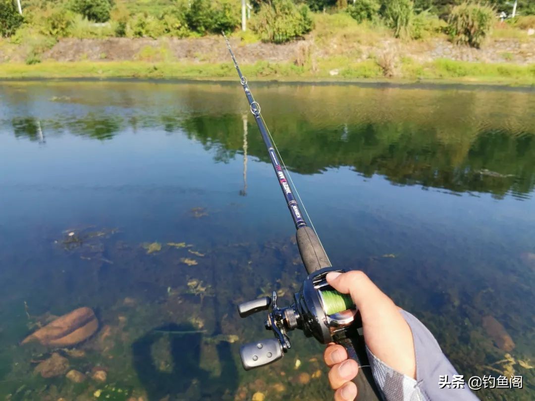 路亚黑鱼如何寻找钓点,黑鱼只追不咬怎么回事