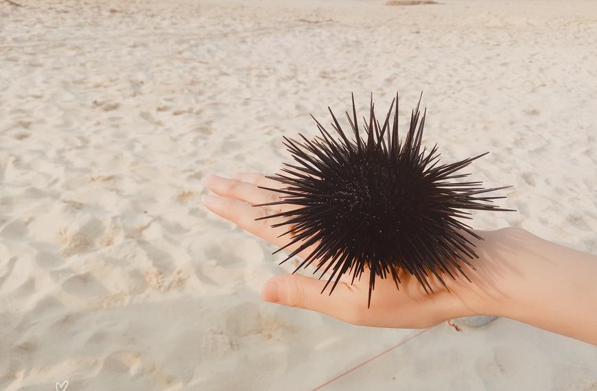 距离珠海最近的岛屿,珠海马尔代夫海岛