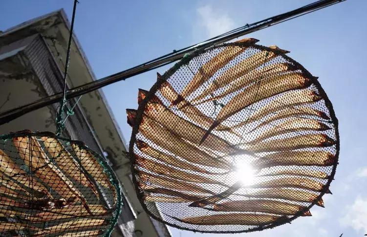 世界最好吃的十大海鲜排行榜,温州最有名的十大海鲜