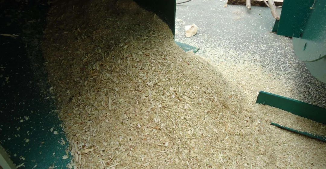 河北狗粮生产作坊,三无作坊生产狗粮