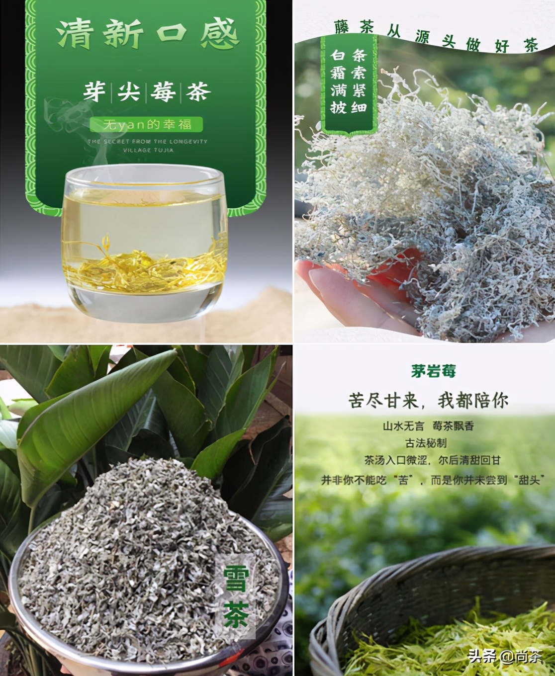 红茶之外的世界||给大家解读的这款莓茶,诚壹也没有喝过