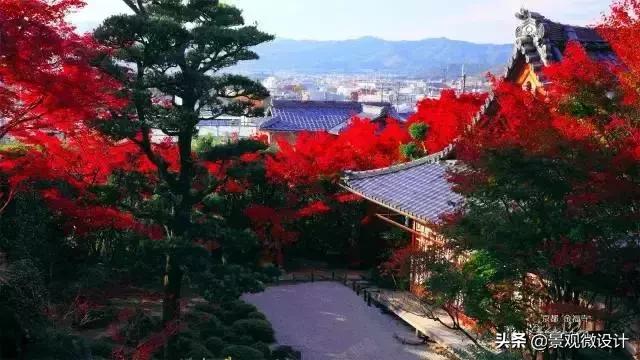 日本最有名枯山水庭院,日本枯山水效果图