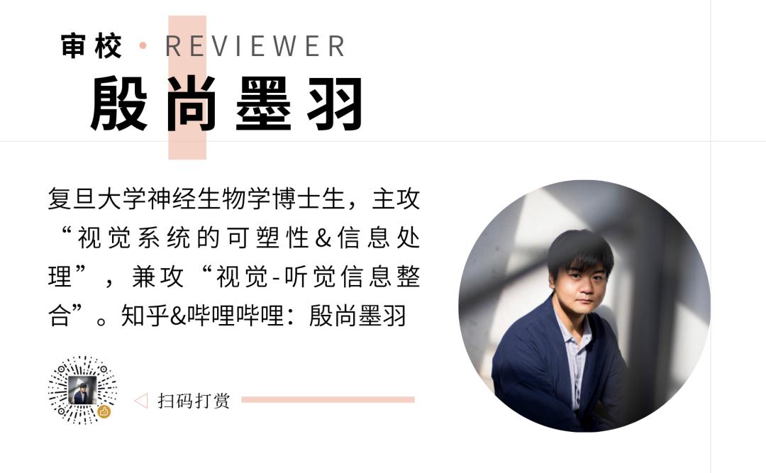 成人大脑神经元视频,人体大脑神经元有多少