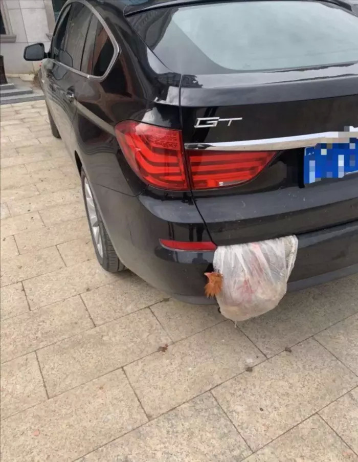 为什么要挂个锤子在墙上,第一次去男朋友家看到墙上挂什么