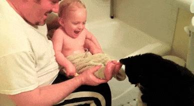 动图车贴搞笑,搞笑gif大哥你的驾驶室真拉风