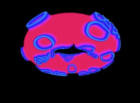 图灵计算机为什么不是第一,图灵测试有没有过时