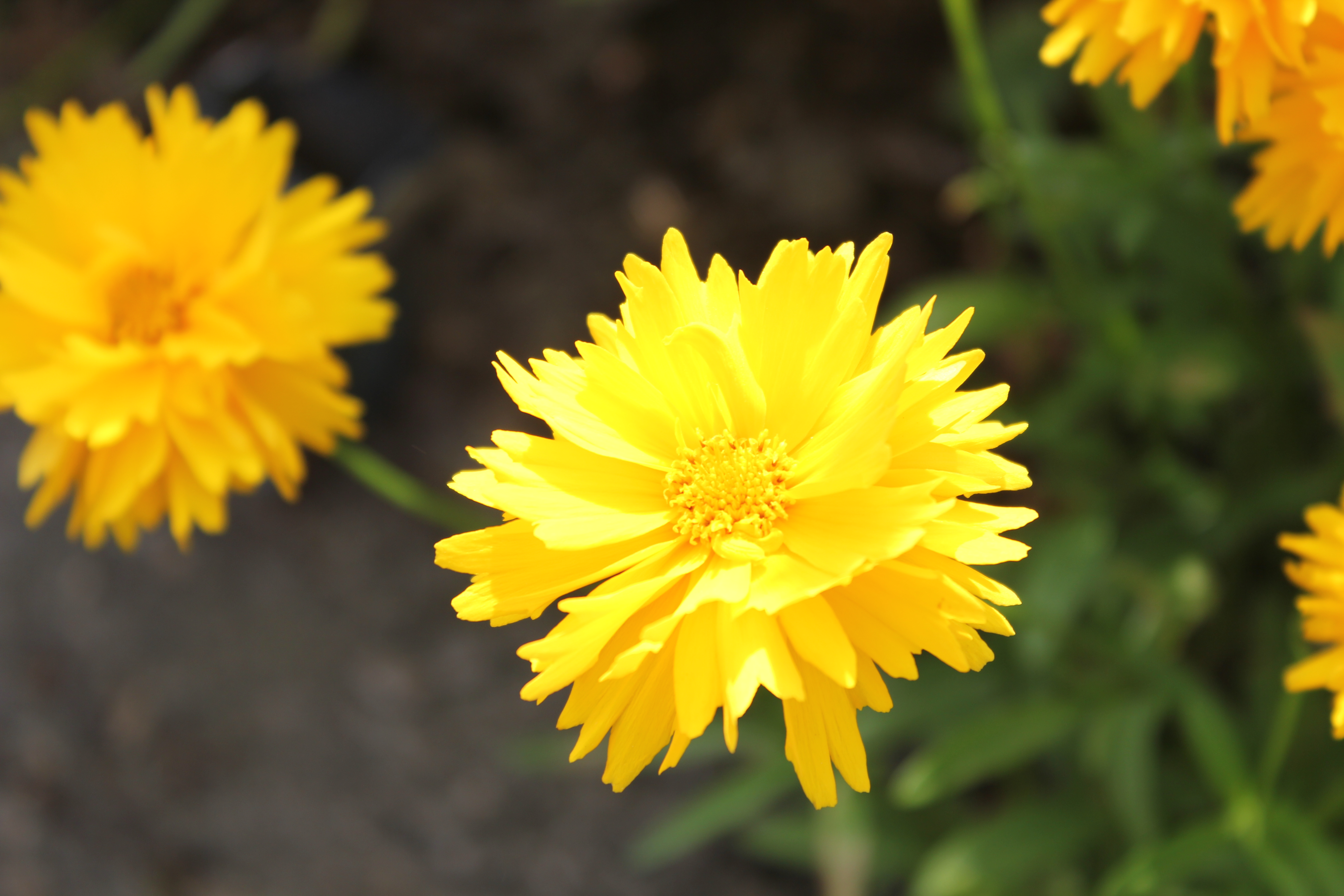 武汉周边避暑胜地｜端午武汉至咸宁九宫山2日自驾亲子游路线分享