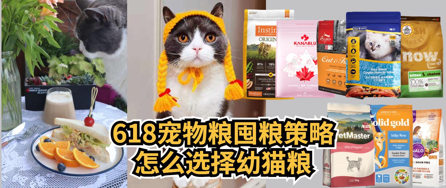 又便宜又好的幼猫粮排名,618猫粮怎么囤