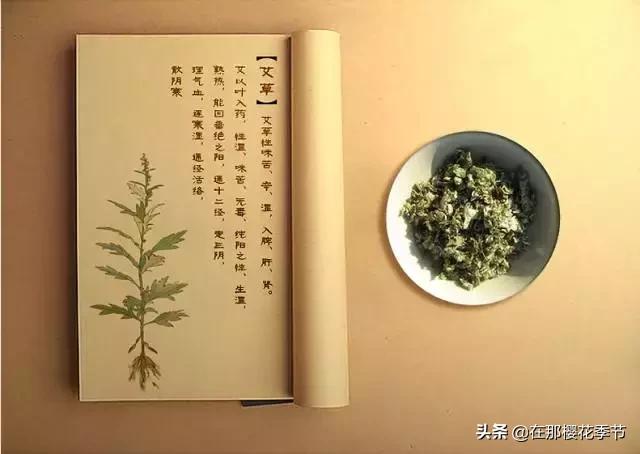 一位客家妈妈用艾草煮水给儿子洗澡，结果万万没想到.