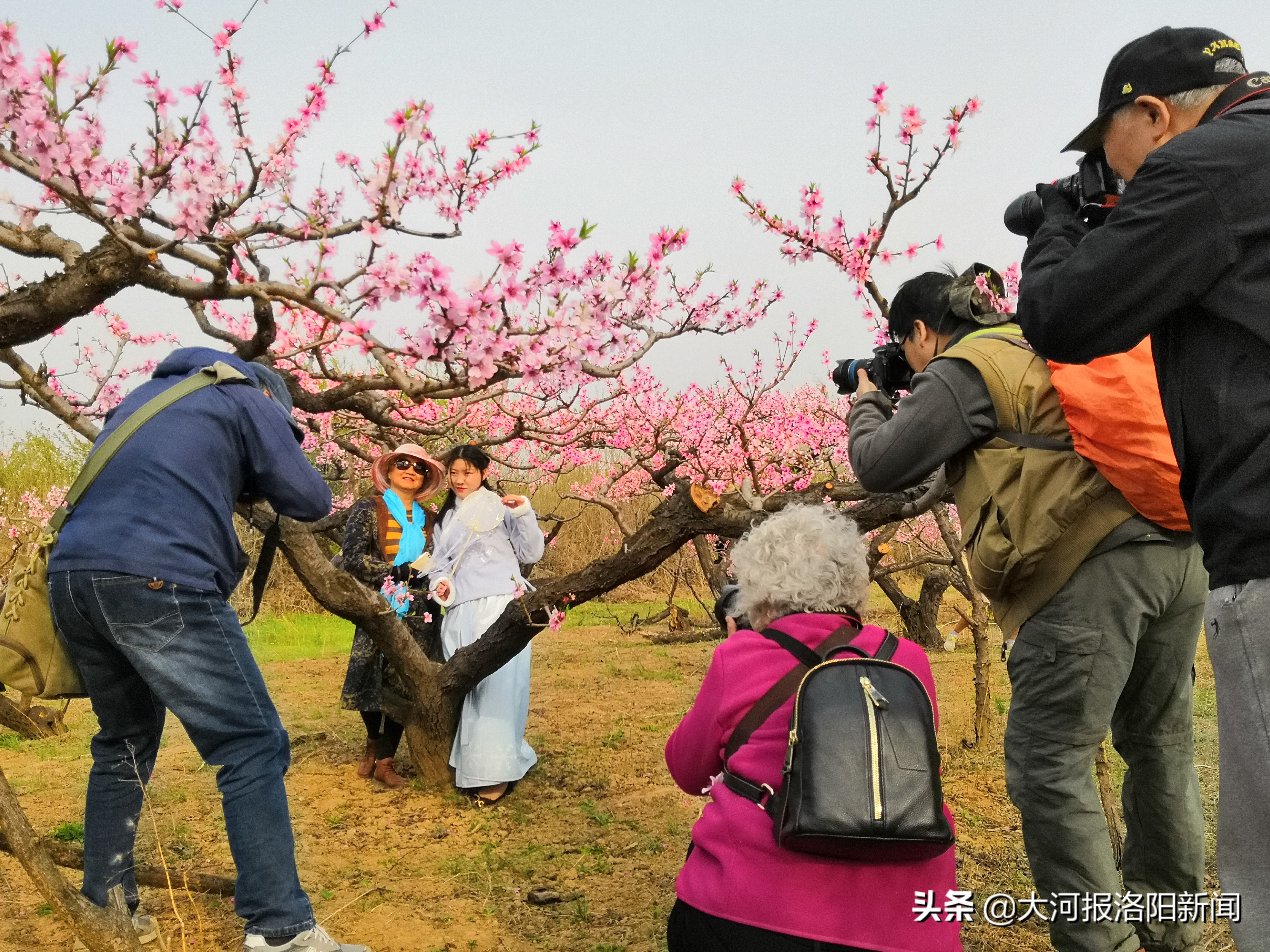洛阳适合带长辈旅游的地方,洛阳自家一日游最佳去处