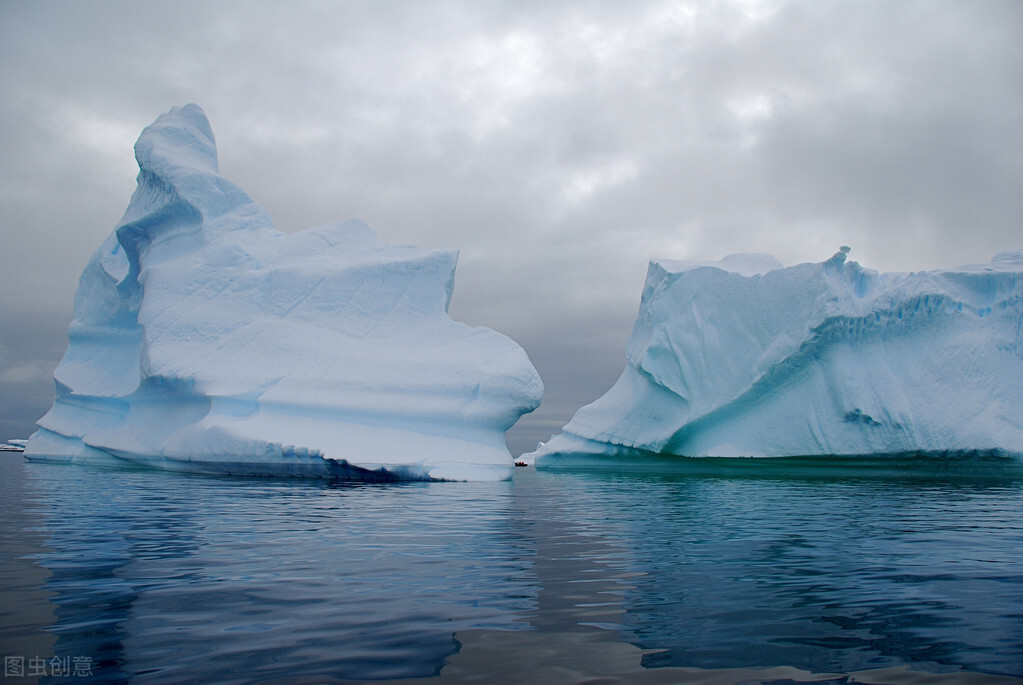 棕熊和北极熊能否繁殖,北极熊与灰熊相遇