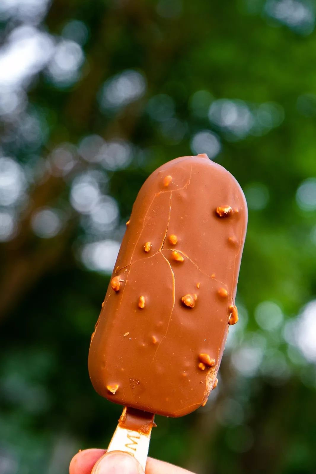 榴莲糯心雪糕,榴莲即食雪糕糯米糍