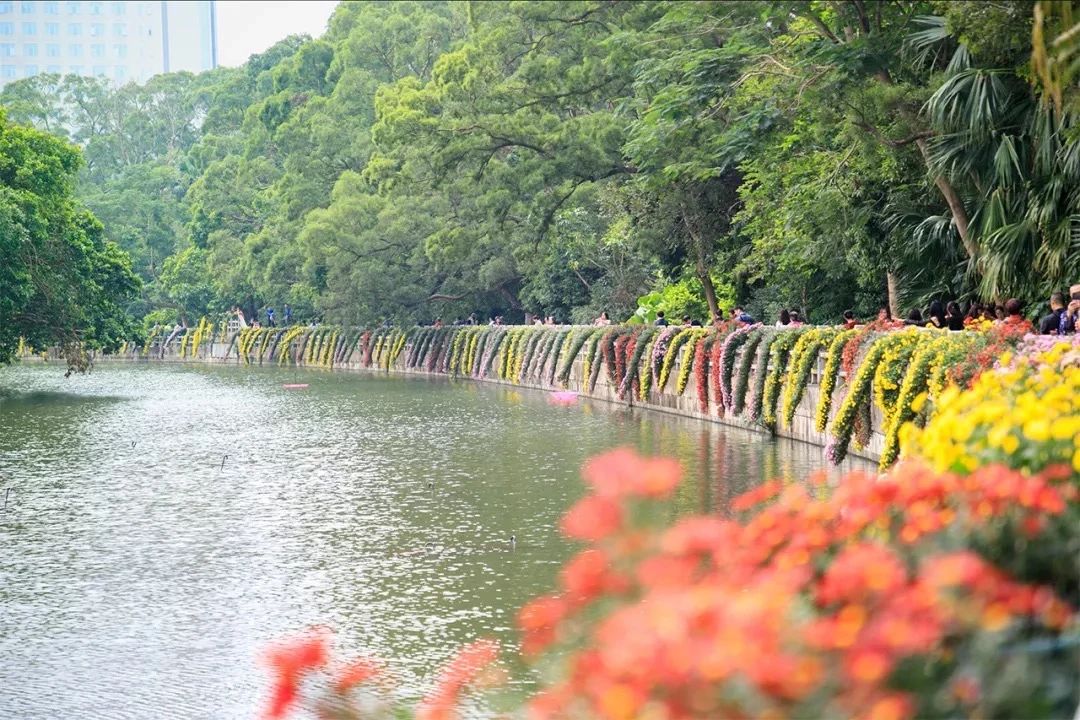 深圳3号线有哪些可以玩的,深圳7号线攻略