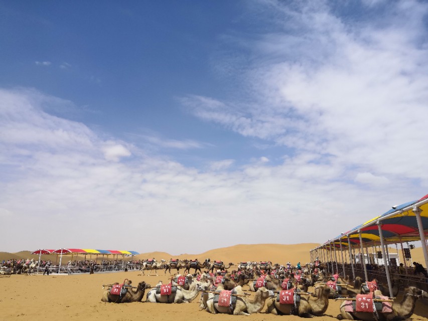 中卫沙坡头攻略,中卫沙坡头一日游攻略