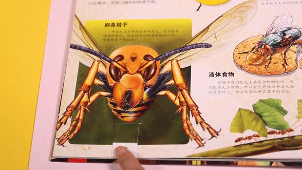 立体纸艺教程动物,纸艺技巧