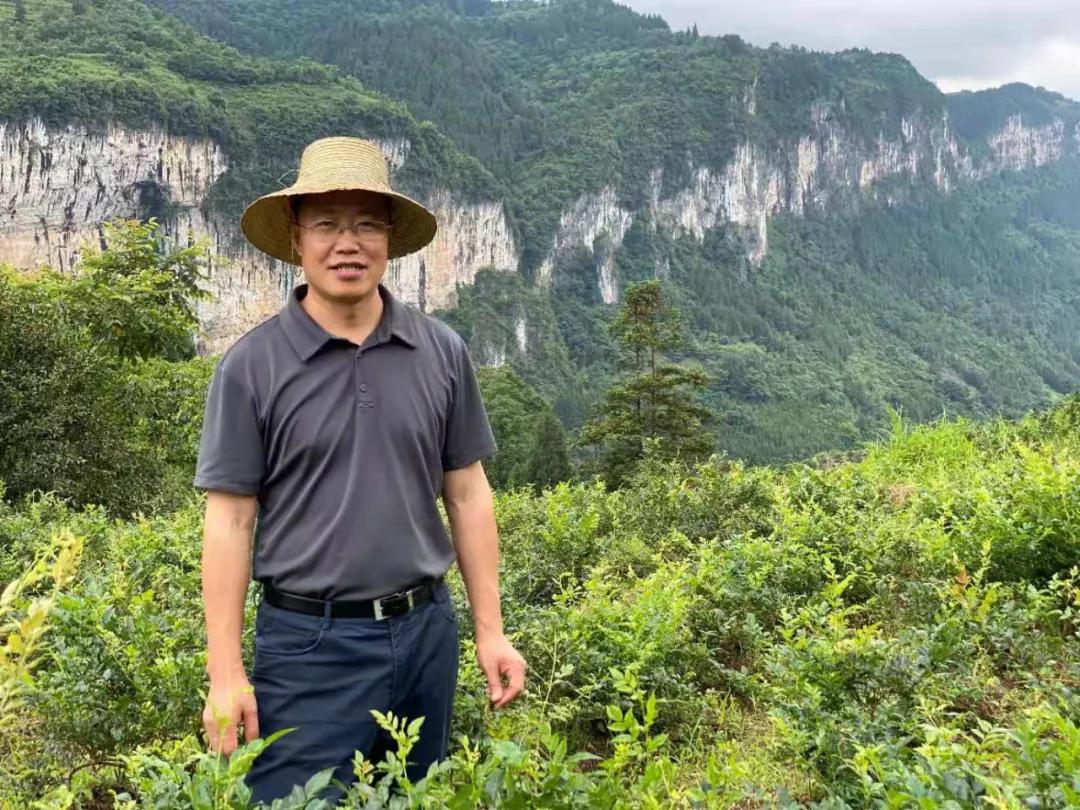 农民日报扶贫,农民日报全文