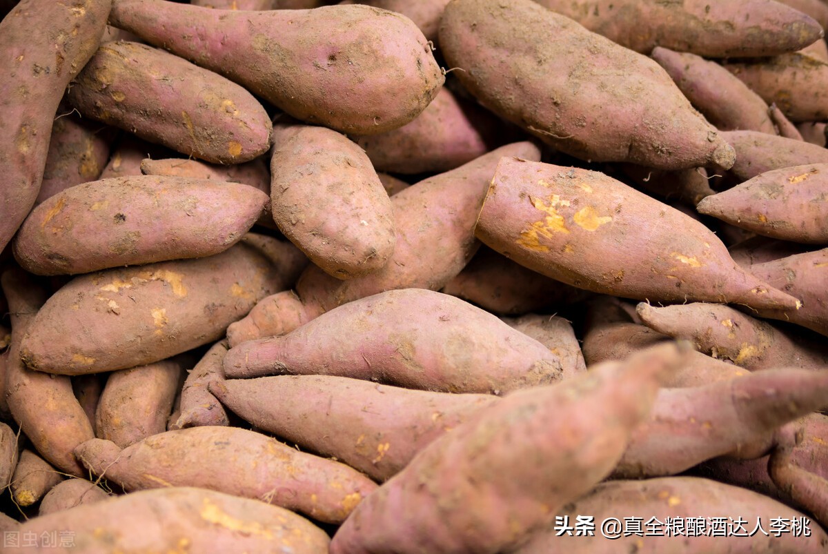 谷物和薯类酿酒的区别,薯类酿酒工艺有哪些类型